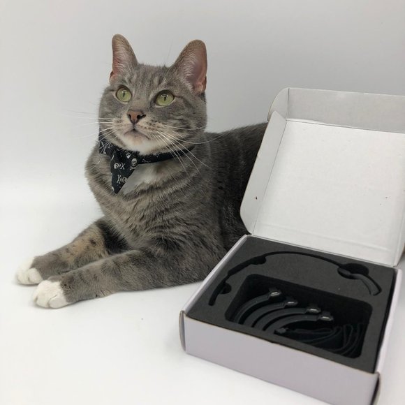 PAWTRACK GPS CAT TRACKING ADJUSTABLE USB COLLAR, New in box - Picture 10 of 16